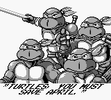 Teenage Mutant Ninja Turtles: Fall of the Foot Clan